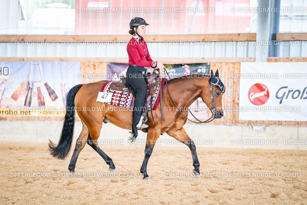 DSC02496 | Pferdegrafie