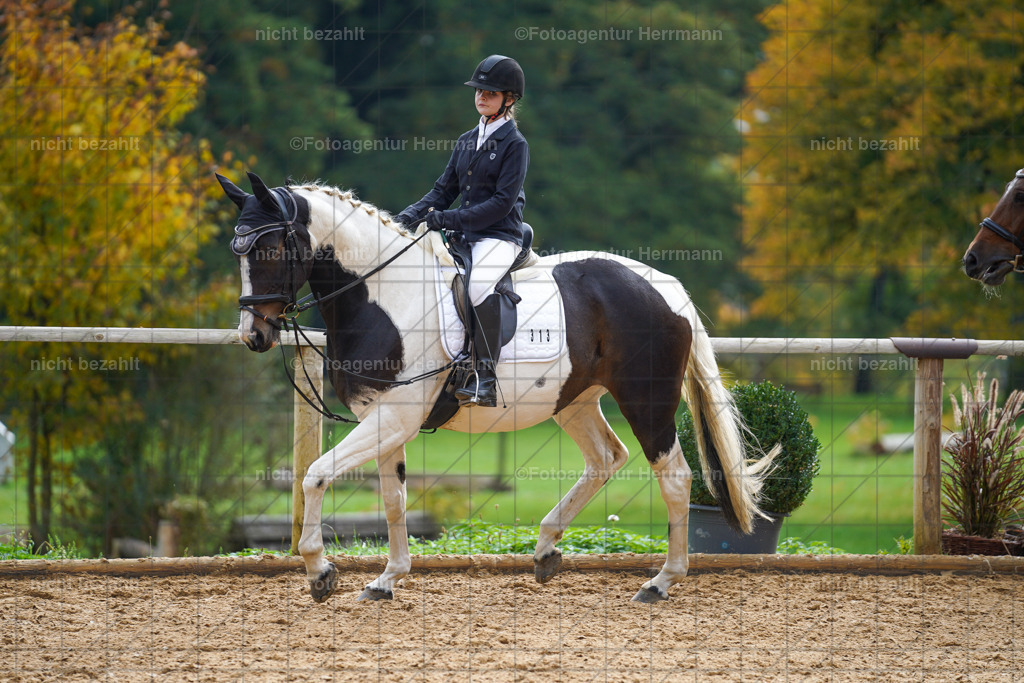 20221008-FAH01176 | Diessen am Ammersee, 2022, Dressur- und Springturnier, Reitsportbilder, Turnierfotografen Bayern, Pferdefotografen, Fotoagentur Herrmann, Turnierbilder