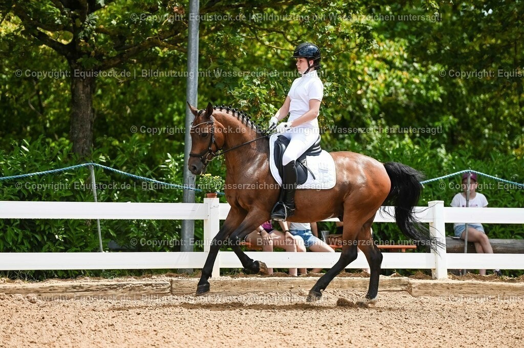 20230715_05_Dressurprüfung Kl.A++_0038 | equistock