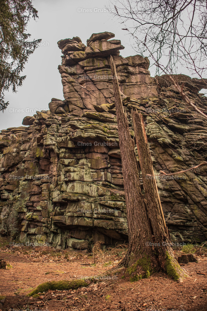 Greifensteine mit Baumrest | Lila Lubbenbomm - Artwork by Ines Grubisch - Realisiert mit Pictrs.com
