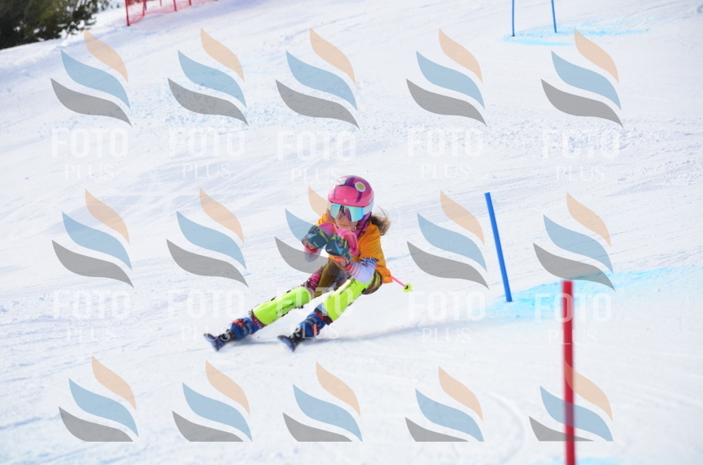 C7881 | holidayphoto