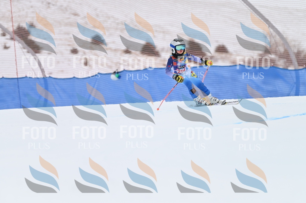 BGV_2585 | holidayphoto