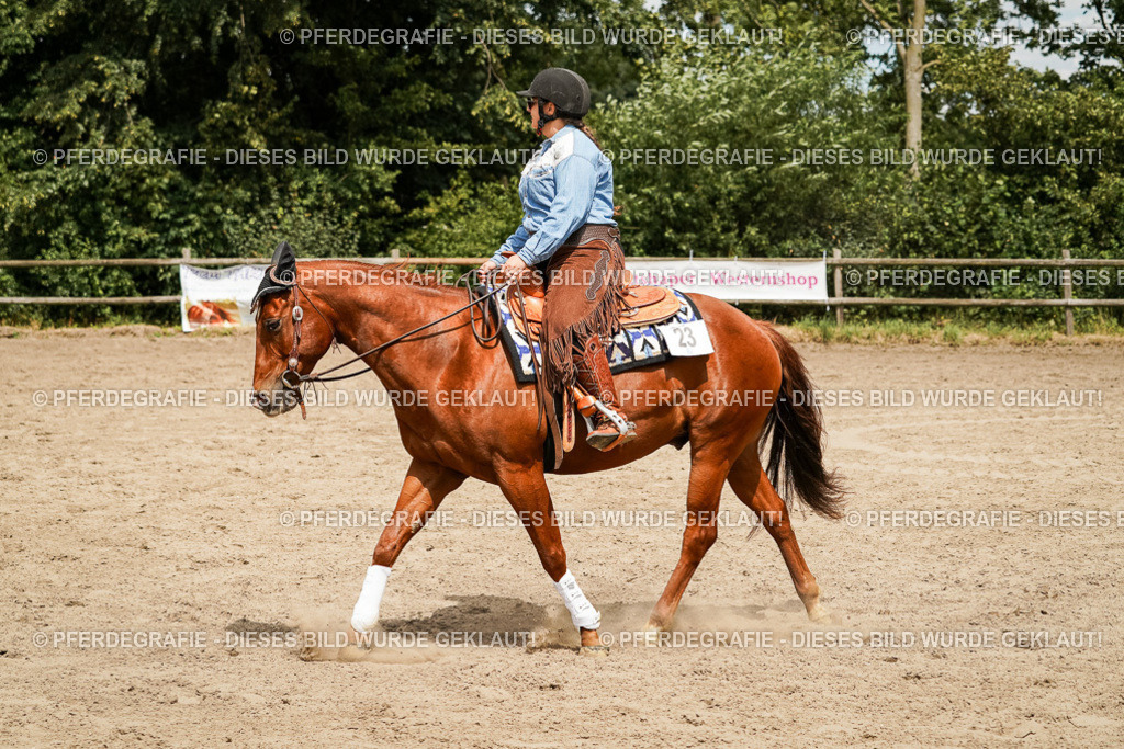 DSC00145 | Pferdegrafie