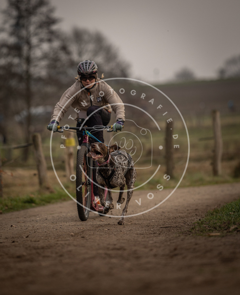 Pfotenfotografie_DV3A3951 | Hundefotografie, Tierfotograf, Pfotenfotografie, Fotoshooting Hund, Hunde Portrait, Hundesport, Hundeportraits, Heideshooting, Hunde, Sportfotograf, Hundefotograf, Turnierhundsport, THS,  - Realisiert mit Pictrs.com