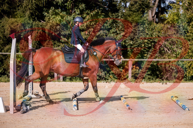 2026_10_03_Siefer-Hof_143734_Z81_06332710 | Professionelle Reitsport-, Turnier- und Eventfotografie von Robert Broda. Galerien mit ausgewählten und bearbeiteten Bildern direkt online ansehen und bestellen.