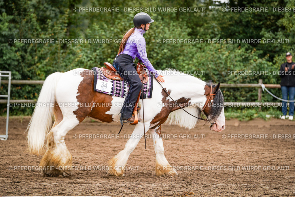 DSC03464 | Pferdegrafie