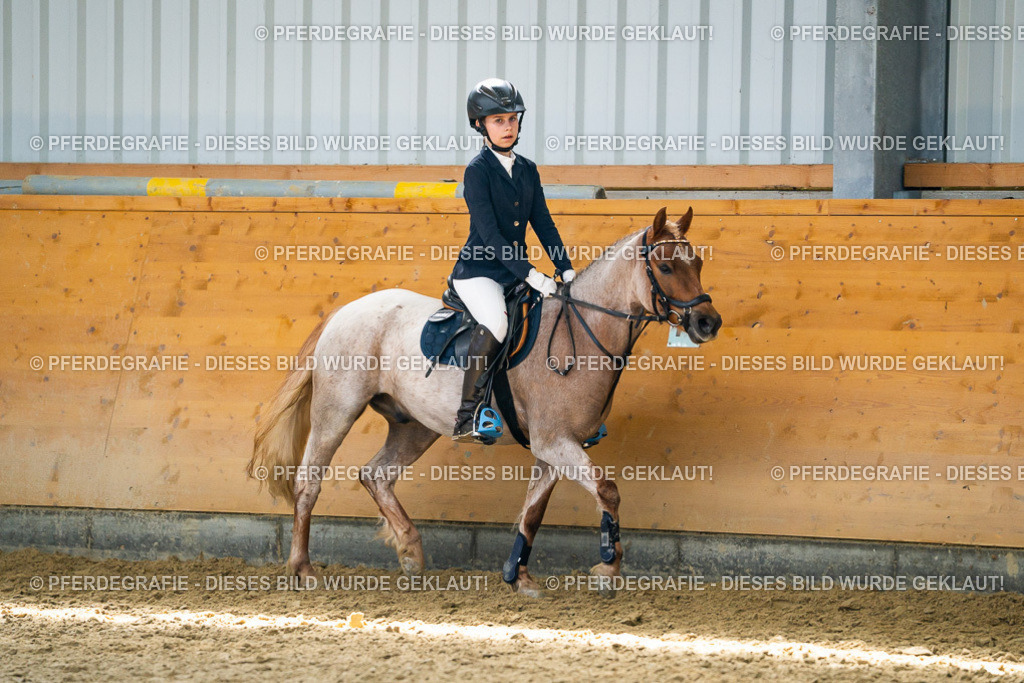 DSC02269 | Pferdegrafie