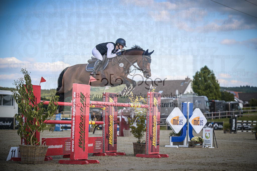 DOS_1012 | Entdecke hochwertige Reitturnierfotos von Foto Oger. Professionell, emotional und authentisch – jetzt Lieblingsmomente im Shop bestellen.Deutschlandweite Turnierfotografie. - Realisiert mit Pictrs.com