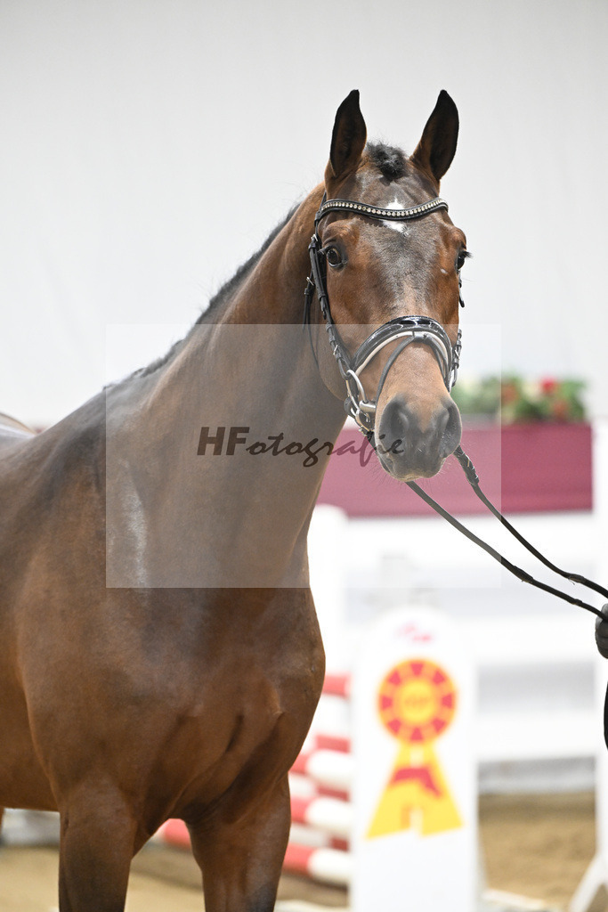 Kat-Nr. 90 Million Dollar x Cash and Carry_Ralf Laubheimer_47253114 | hf-fotografie - Realisiert mit Pictrs.com