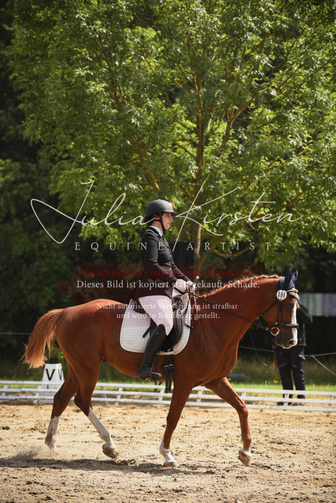 DSC_0856 | Pferde- und Turnierfotografie in Westsachsen. Pferdeportraits, Auftragszeichnungen und intuitive Kunst.