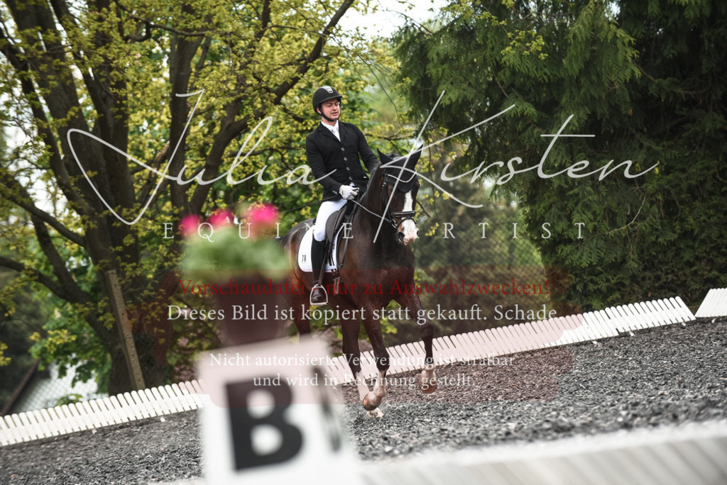 20230514_JK-Röhrsdorf-24-313 | Pferde- und Turnierfotografie in Westsachsen. Pferdeportraits, Auftragszeichnungen und intuitive Kunst.