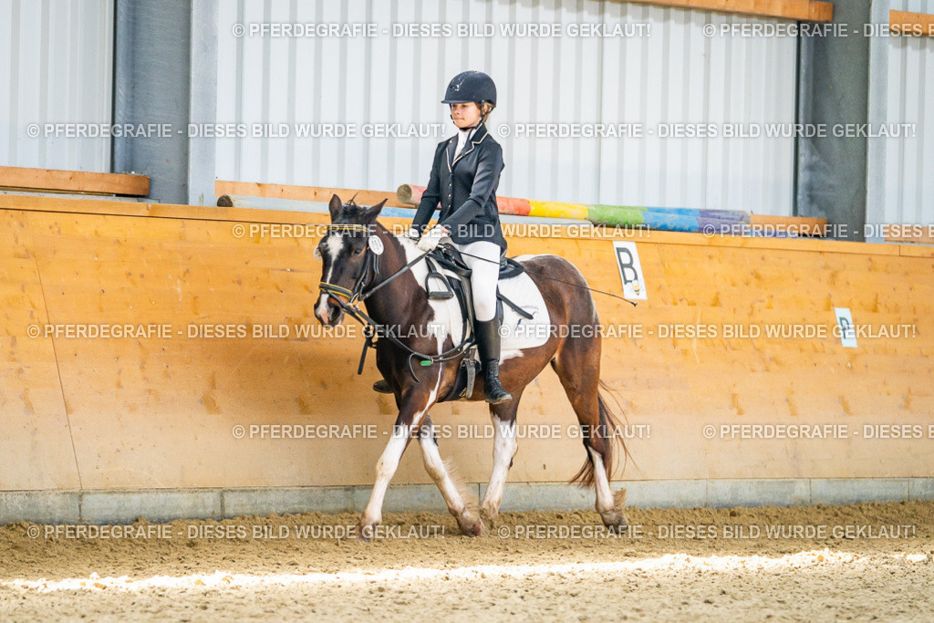 DSC03253 | Pferdegrafie