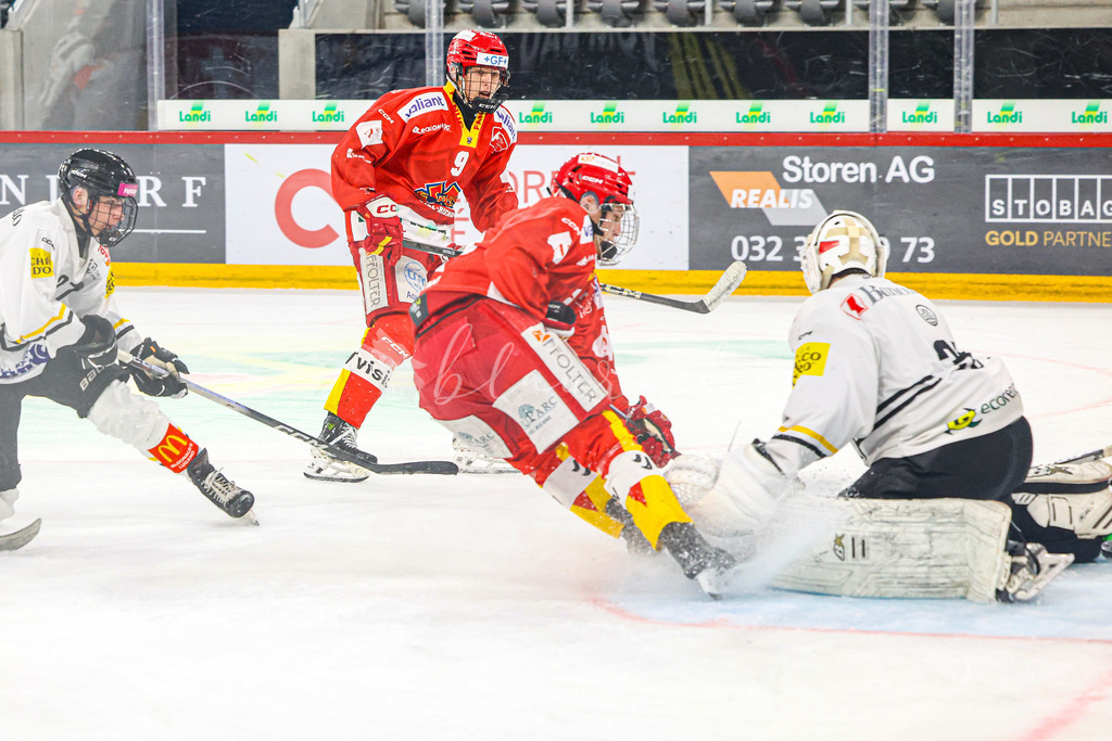 701A3368 | Sportbilder, Sportfotograf, Hochzeits- und Eventfotografin, Flugshows, Portraits und Tiershooting, Aviation, Downhill, Nationalleague, Swissleague, International