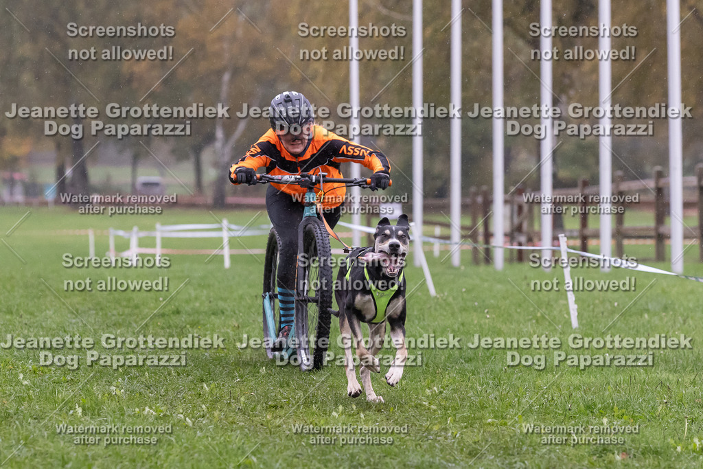 Dog Paparazzi - SD CaniX Championship 2025-895 | Dog Paparazzi Jeanette Grottendiek Fotografie & Videografie - Realisiert mit Pictrs.com