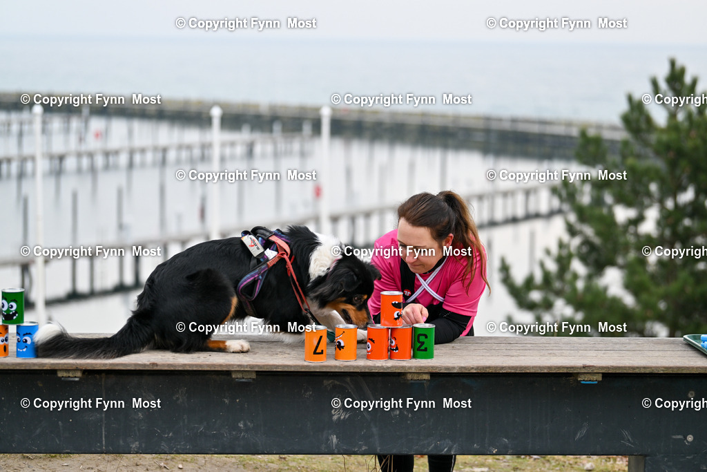 DSC_2445 | Hallo und herzlich Willkommen auf meiner Shop-Seite Fynn Most.

Ich wünsche Dir viel Spaß beim stöbern durch die Bilder, wenn Du Fragen hast oder Bilder vermisst, kannst du mir gerne eine Nachricht schreiben. - Realisiert mit Pictrs.com