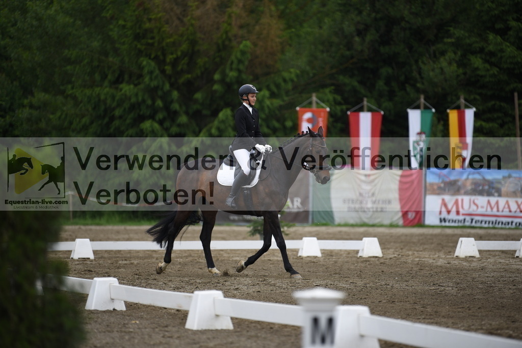 DSC_7875 | equestrian-live-com