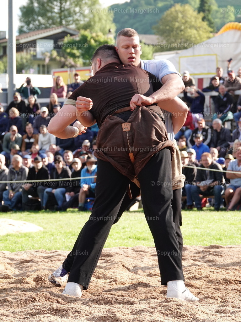 DSC07051 | Schwingen - Realisiert mit Pictrs.com