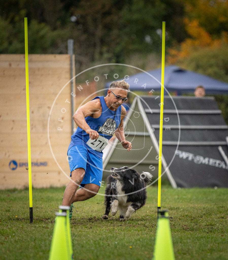 Pfotenfotografie_DV3A0153 | Hundefotografie, Tierfotograf, Pfotenfotografie, Fotoshooting Hund, Hunde Portrait, Hundesport, Hundeportraits, Heideshooting, Hunde, Sportfotograf, Hundefotograf, Turnierhundsport, THS,  - Realisiert mit Pictrs.com