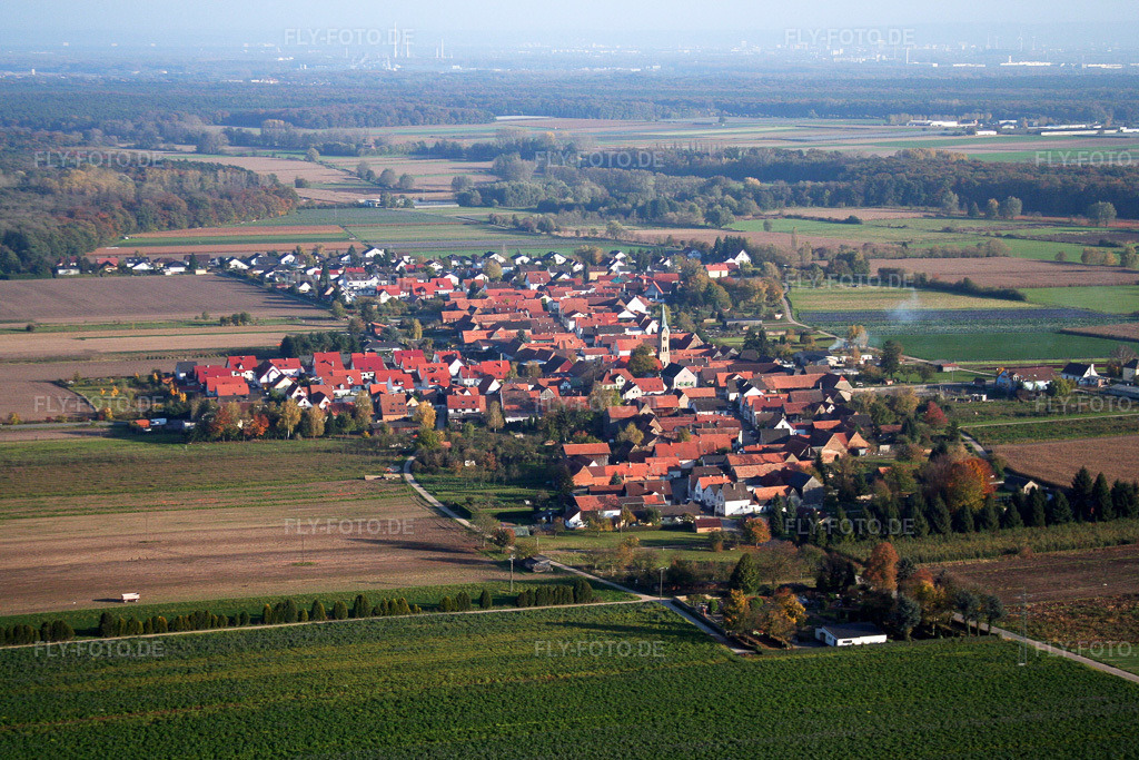 Luftbild: Ortsansicht von Westen in Erlenbach bei Kandel im Bundesland Rheinland-Pfalz in Deutschland. Foto: IMG_14385.jpg vom 25.10.2008 durch Werner Riehm/FLY-FOTO.de
