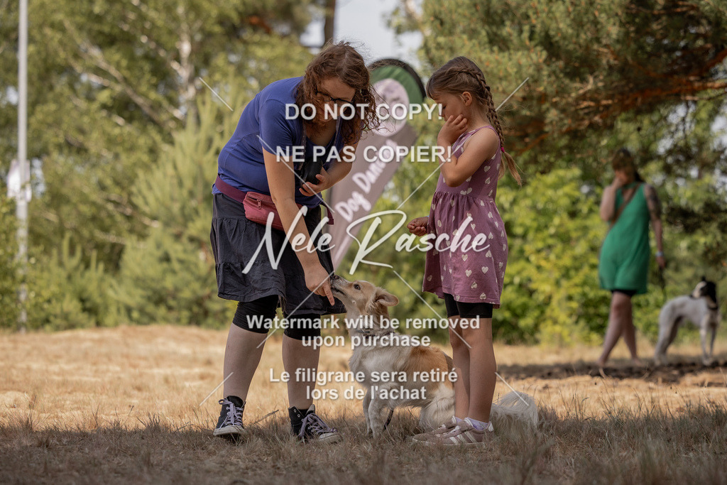 nelerasche_soDD2_311 | nelerasche