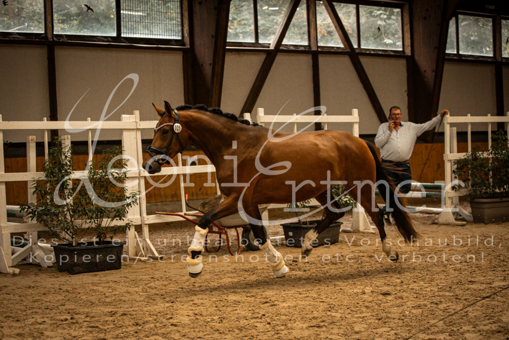 2FS_L00147 | Leoni Ertmer Photography - Realisiert mit Pictrs.com