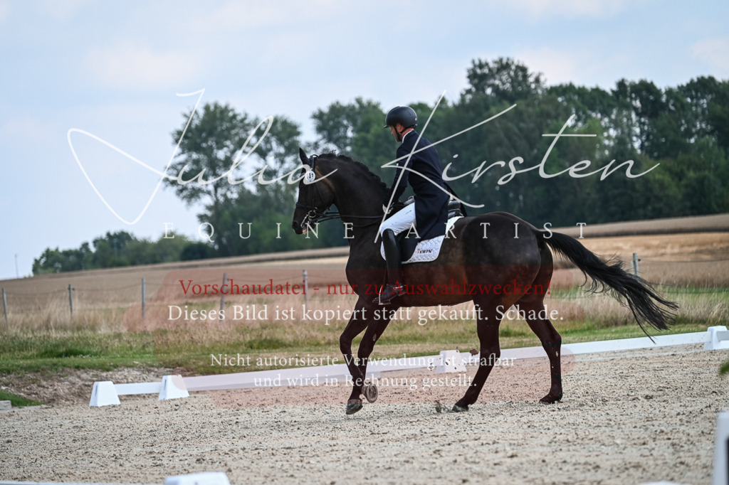 DSC_2390 | Pferde- und Turnierfotografie in Westsachsen. Pferdeportraits, Auftragszeichnungen und intuitive Kunst.