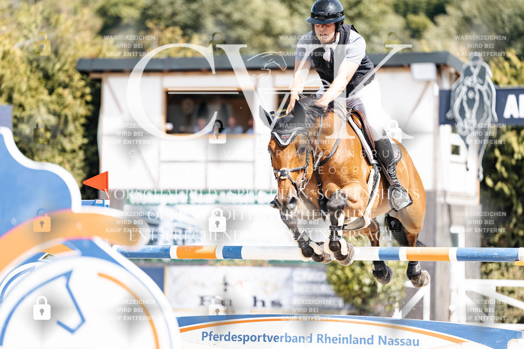 CK905145 | Turnierfotografie Pferdefotografie Trier Rheinland-Pfalz Pferdesport Reitsport Tierfotografie Sportfotografie Pferdevideo Pferdevideografie Equestrianvideography equestrianphotography  - Realisiert mit Pictrs.com