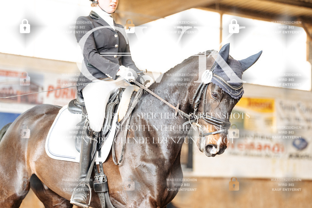 CK901156 | Turnierfotografie Pferdefotografie Trier Rheinland-Pfalz Pferdesport Reitsport Tierfotografie Sportfotografie Pferdevideo Pferdevideografie Equestrianvideography equestrianphotography  - Realisiert mit Pictrs.com