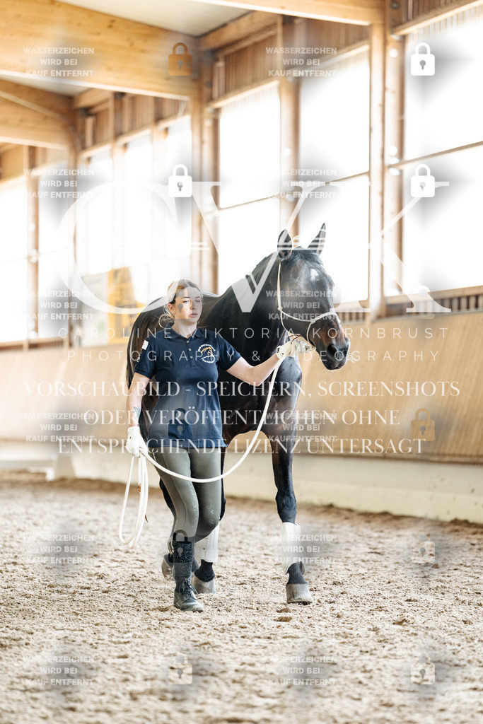 CK908077 | Turnierfotografie Pferdefotografie Trier Rheinland-Pfalz Pferdesport Reitsport Tierfotografie Sportfotografie Pferdevideo Pferdevideografie Equestrianvideography equestrianphotography  - Realisiert mit Pictrs.com