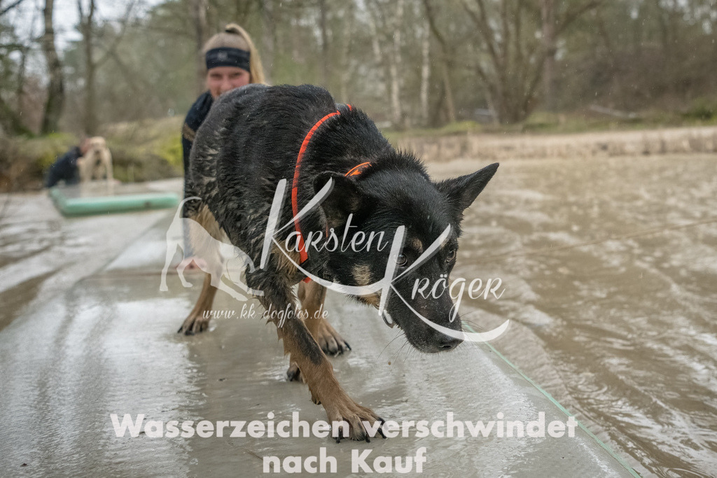 1049_ZZ93512-Bearbeitet | kk-dogfotos