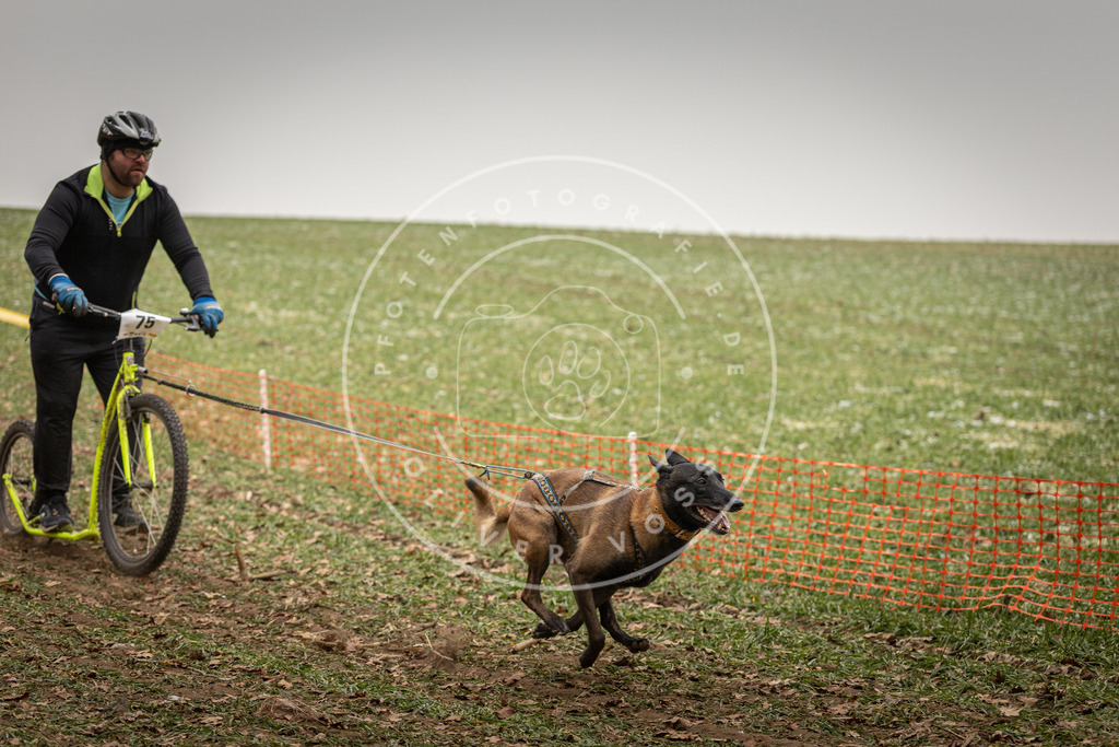Pfotenfotografie_DV3A3907 | Hundefotografie, Tierfotograf, Pfotenfotografie, Fotoshooting Hund, Hunde Portrait, Hundesport, Hundeportraits, Heideshooting, Hunde, Sportfotograf, Hundefotograf, Turnierhundsport, THS,  - Realisiert mit Pictrs.com