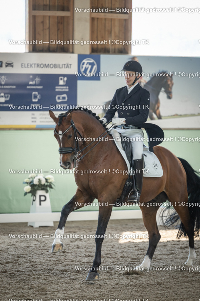 _D5A9772 | Emotionale Pferde- & People-Fotografie rund um Heidelberg, Leimen & Umgebung. Natürliche Fotos von Pferd, Mensch & Familie. Jetzt Termin sichern!