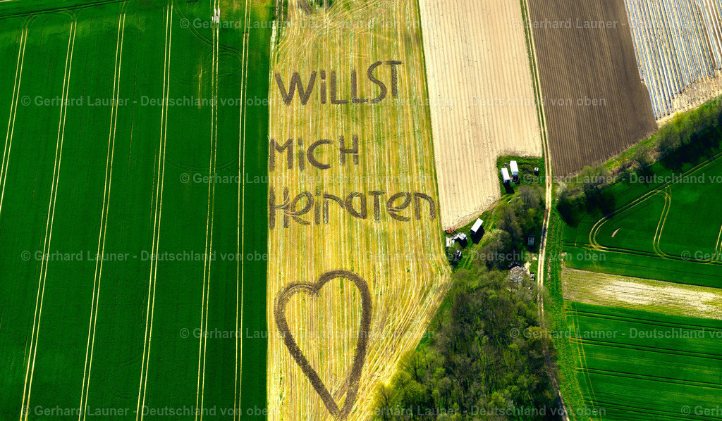3600593 | Heiratsantrag bei Kirchschönbach