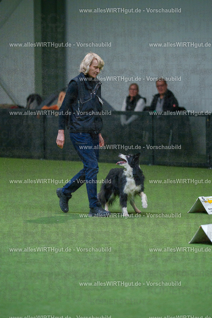 7R502772 | Professionelle Tierfotografie in Mönchengladbach von Daniel Wirth (allesWIRTHgut). Liebevolle & natürliche Bilder von Hunden & Katzen für unvergessliche Erinnerungen.