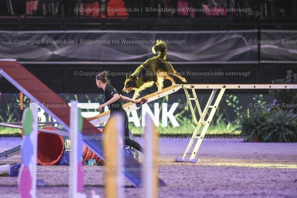 20231115_Dog-Agility_0095_TOMsPiC | Foto: Thomas Hartig