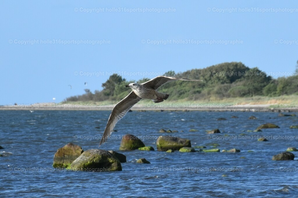 DSC_0018 (2) | Sportfotografie , Motorsport, Motoross, Reitsport, Mointainbike, Enduro,
Landschaft , Outdoor, Eventfotografie, Landschaft, Bilder online bestellen - Realisiert mit Pictrs.com