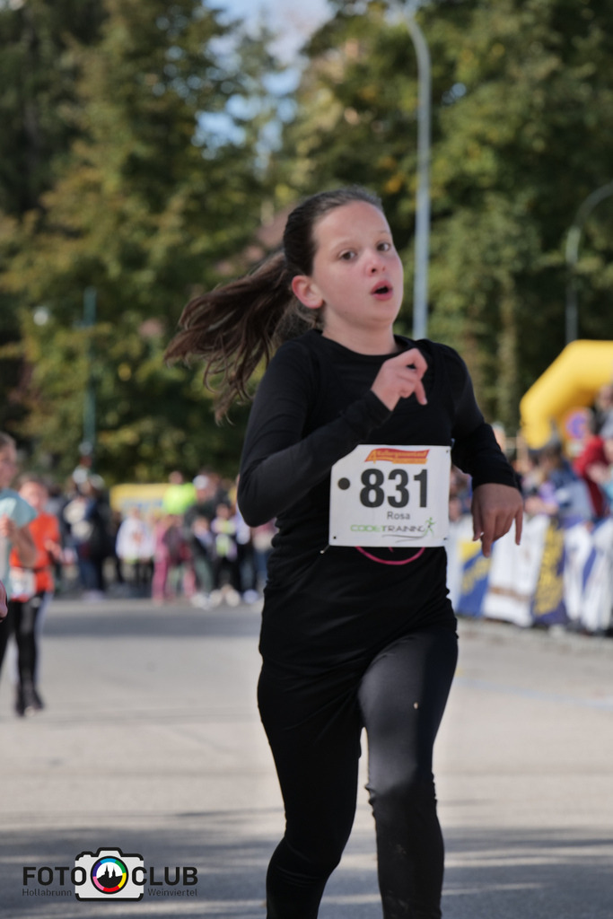 P1039412 | Foto Buchgraber