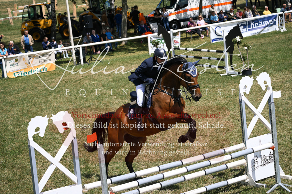 DSC_9808 | Pferde- und Turnierfotografie in Westsachsen. Pferdeportraits, Auftragszeichnungen und intuitive Kunst.