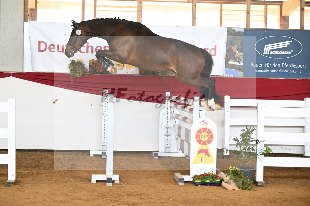 Kat-Nr. 24 Chaccalouu v. Conthalou_Rother-Link_16251050 | hf-fotografie - Realisiert mit Pictrs.com