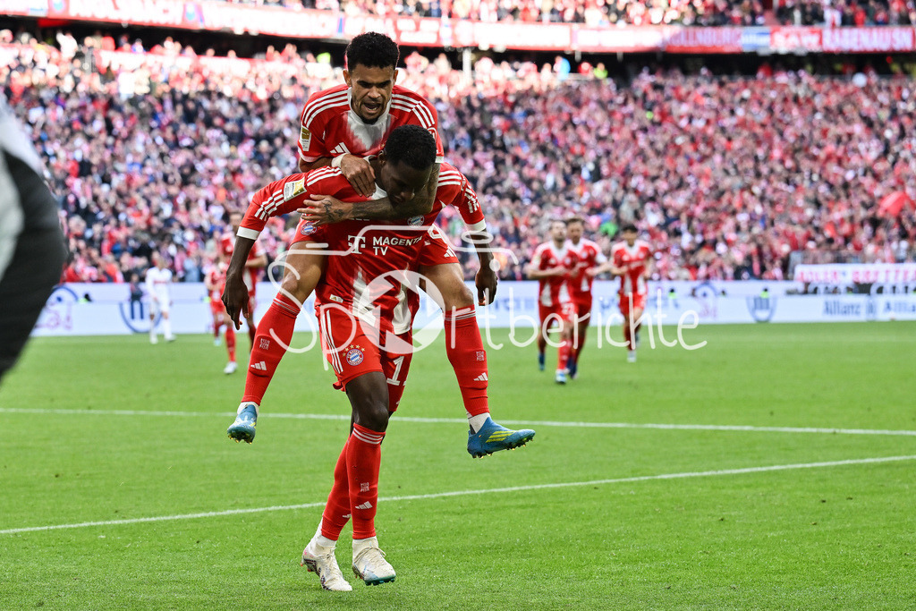 FC Bayern München - VfB Stuttgart | MUNICH, GERMANY - 19. APRIL: Bayern celebrating the goal to makes 2-1 / Tor / Torschuetze / Freude / Happy - Nicolas JACKSON (FC Bayern Munich 11) during the Bundesliga Match between FC Bayern Munich vs. VfB Stuttgart at Matchday 30 at Allianz Arena / DFL REGULATIONS PROHIBIT ANY USE OF PHOTOGRAPHS AS IMAGE SEQUENCES AND/OR QUASI-VIDEO / Luis DIAZ (FC Bayern Munich 14)