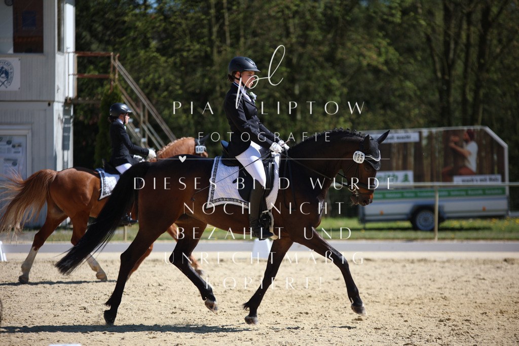 IMGT1546 | pl-fotografie