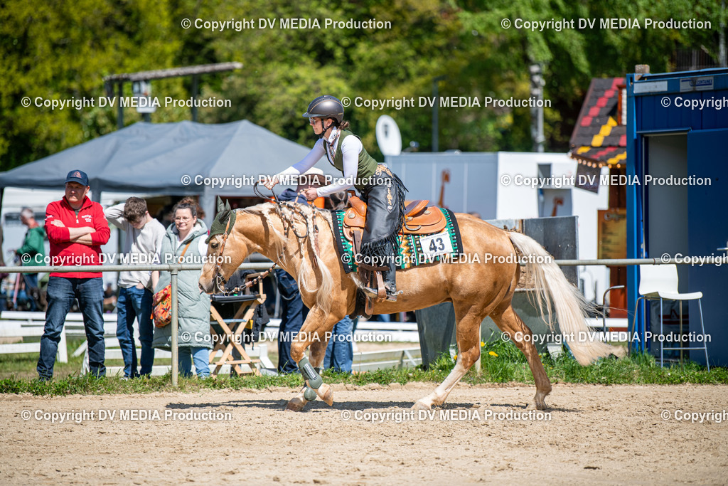 Heiligenwald Tag 3-1866 | dv-media-shop - Realisiert mit Pictrs.com