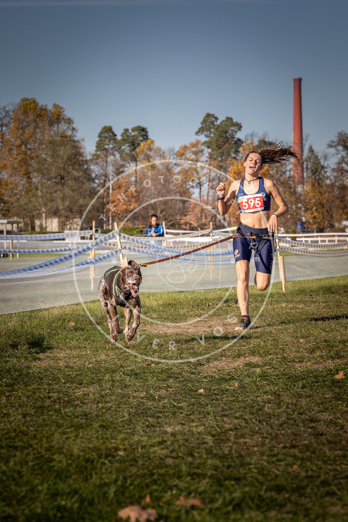 CaniXpix_0L8A8407 | Hundefotografie, Tierfotograf, Pfotenfotografie, Fotoshooting Hund, Hunde Portrait, Hundesport, Hundeportraits, Heideshooting, Hunde, Sportfotograf, Hundefotograf, Turnierhundsport, THS,  - Realisiert mit Pictrs.com