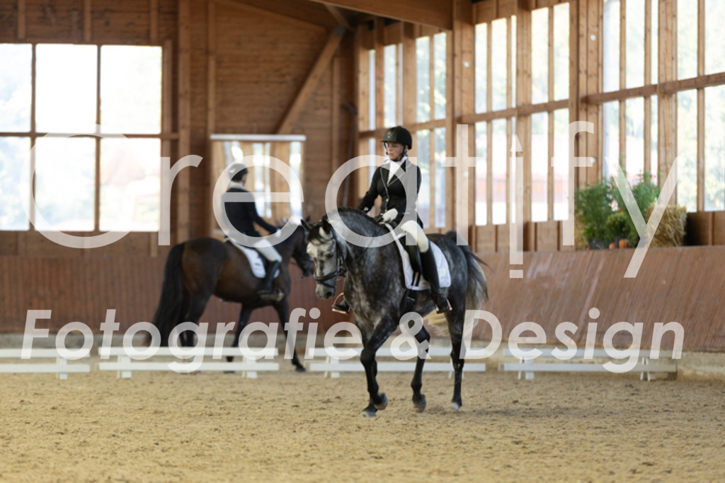 IMG_9131 | Creatify Fotografie