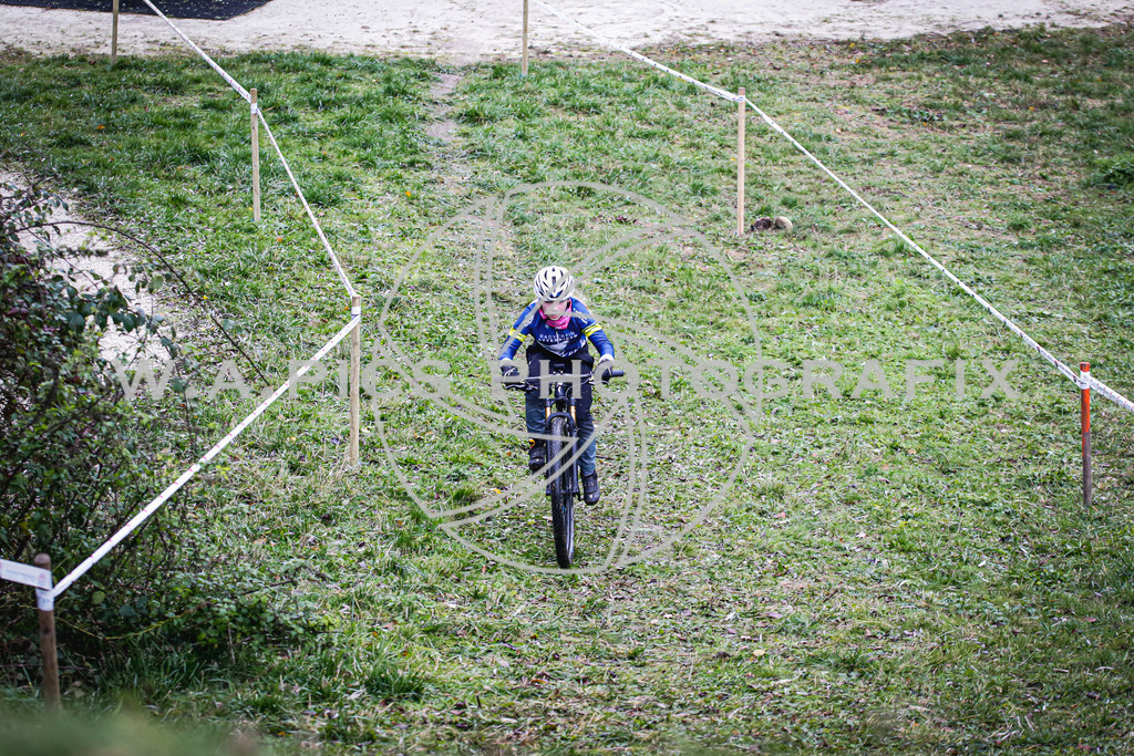 ..... | AUSTRIA, 24.11.24, 3.Radquerfeldein GP um das Sportzentrum Gunskirchen Image shows: Photo: Wapics / Andreas Willdoner