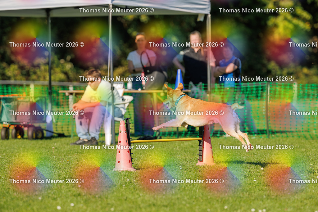 Thomas_Nico_Meuter(C)_04. Oktober 2026_223A4092 | Bild von Thomas Nico Meuter - Realisiert mit Pictrs.com