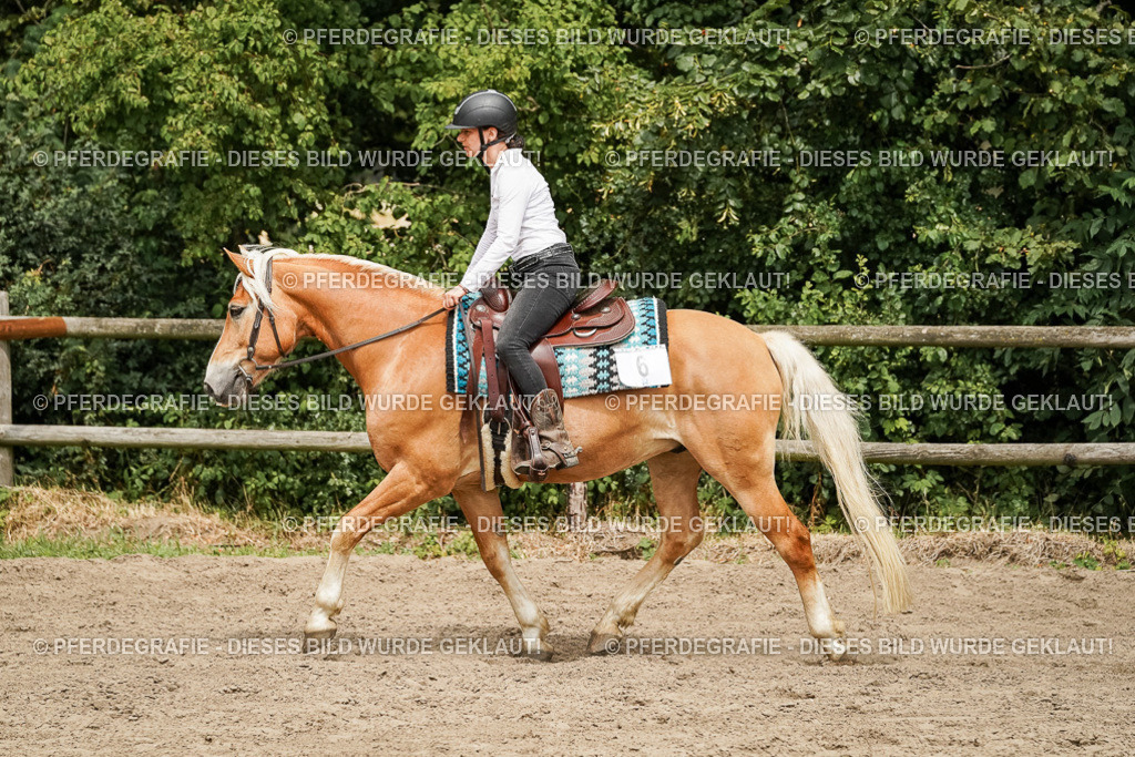 DSC00331 | Pferdegrafie