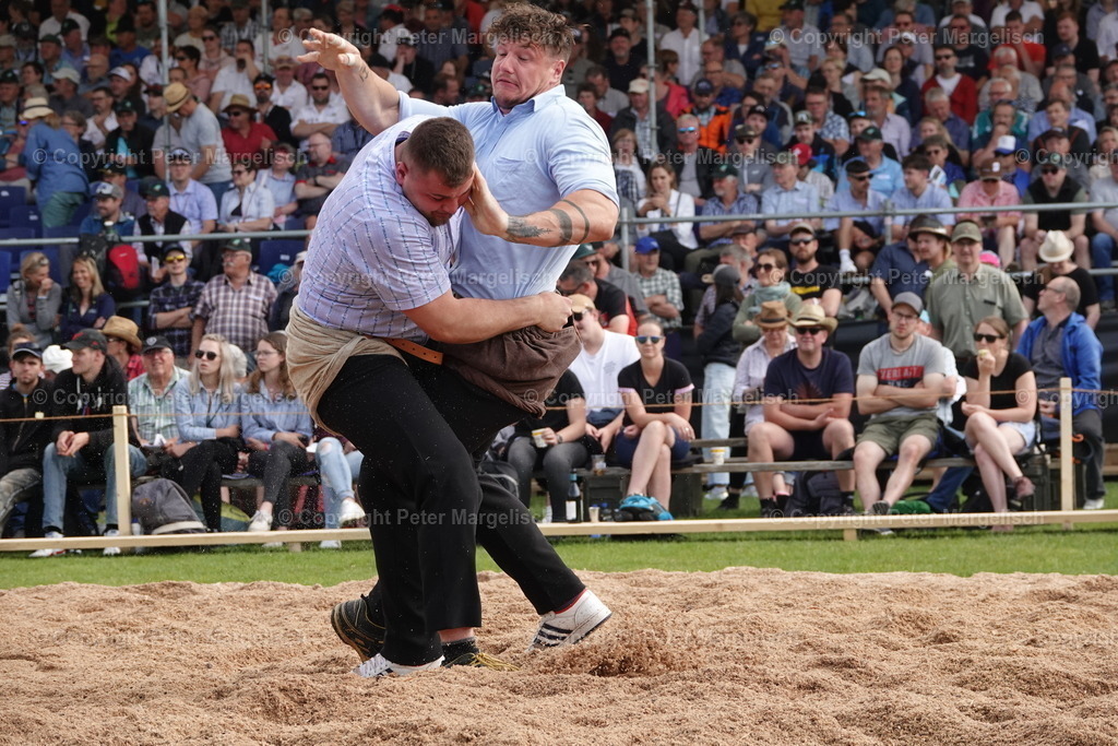DSC04501 | Schwingen - Realisiert mit Pictrs.com
