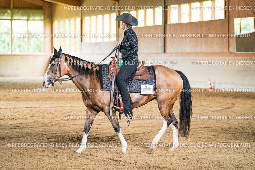 DSC05833 | Pferdegrafie