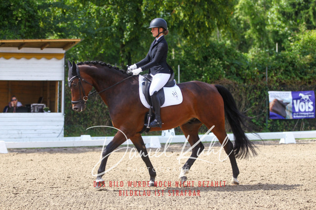 DKP41983 | Turniersportfotografie; Pferdefotografie; Dressurfotografie